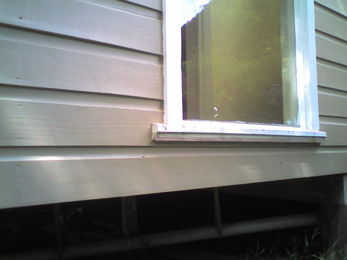 timberwindowleak
